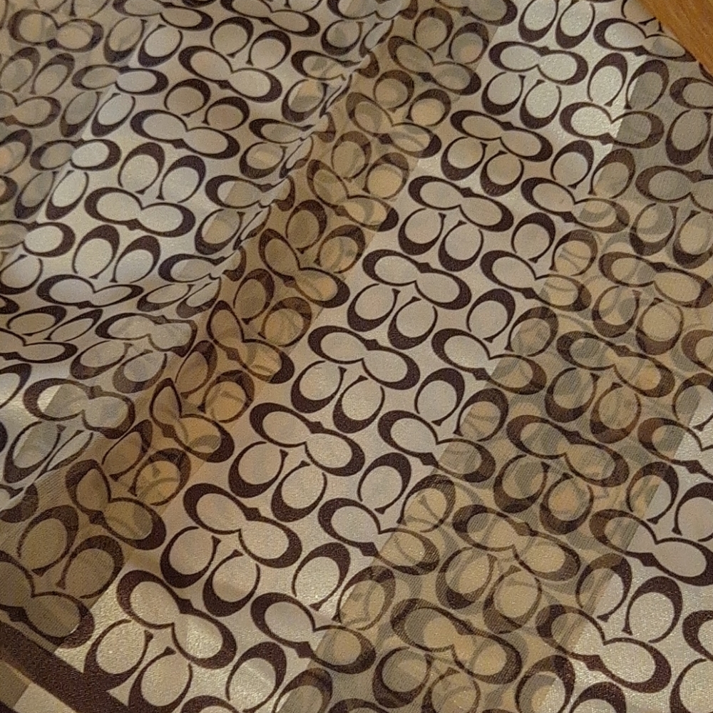 Shawl Coach - Picture 2 of 3